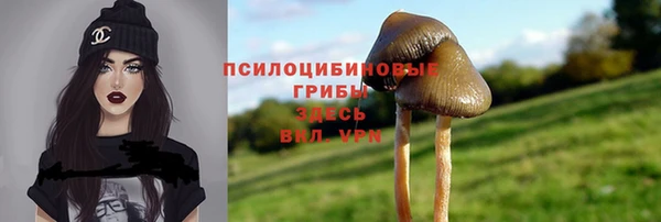2c-b Алексеевка