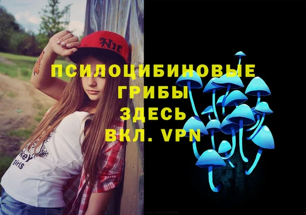 2c-b Алексеевка