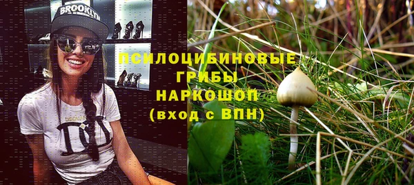 2c-b Алексеевка